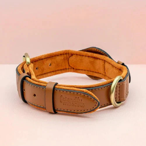 AirTag Dog Collar for Location Tracking – Compatible with Apple AirTag