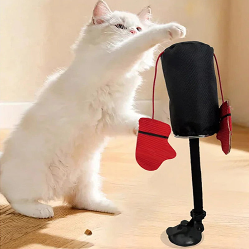 PawPunch Pro - Energy Box Fun for Cats