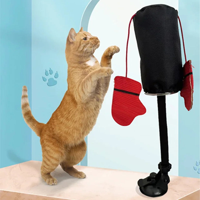 PawPunch Pro - Energy Box Fun for Cats