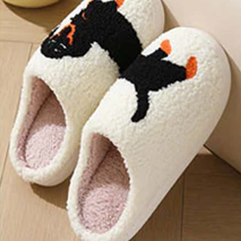 Cozy and Warm Winter Slippers for Dachshunds