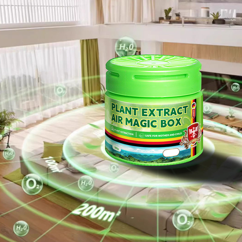 Pure Freshness for Your Home – Transform Your Space into a Relaxing Oasis