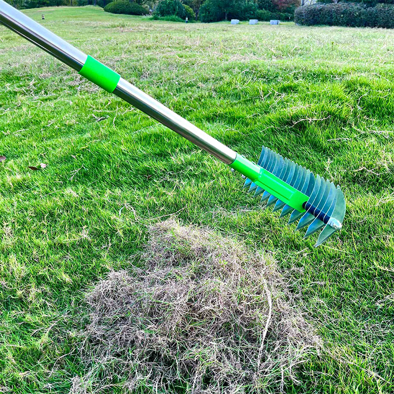 Scarifier and Lawn Aerator with Telescopic Handle