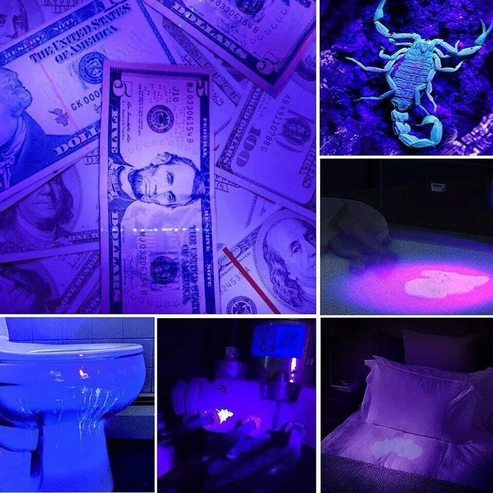 395nm UV LED Flashlight - High Intensity Blacklight