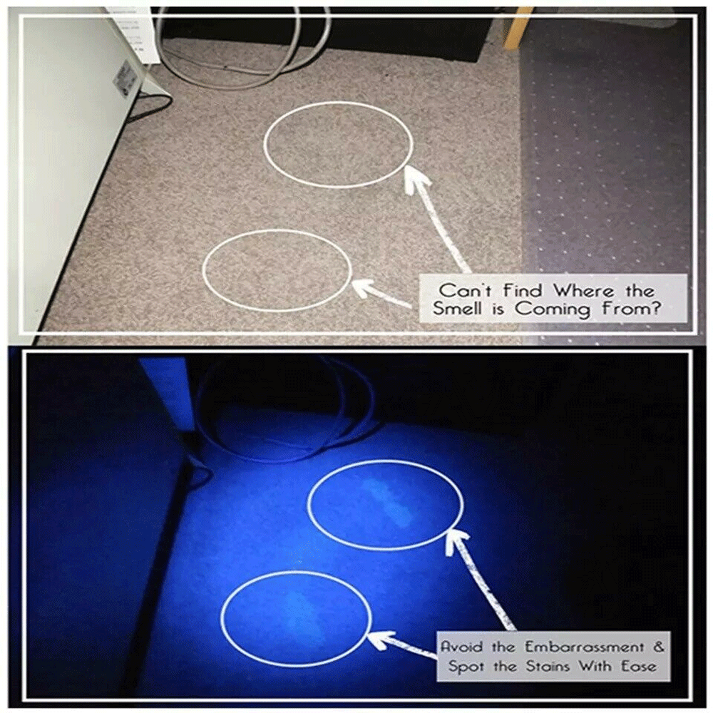 395nm UV LED Flashlight - High Intensity Blacklight