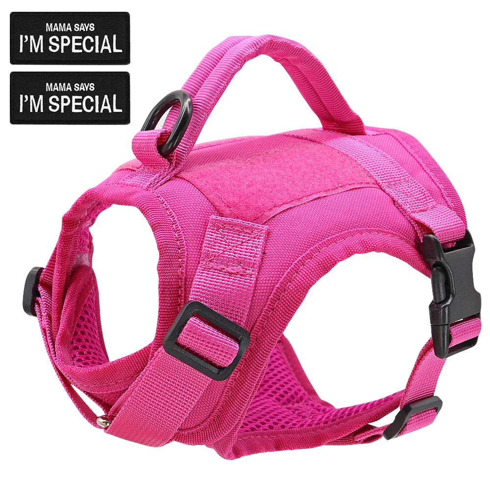 Tactical Cat Harness Vest with D-Ring for Leash Attachment