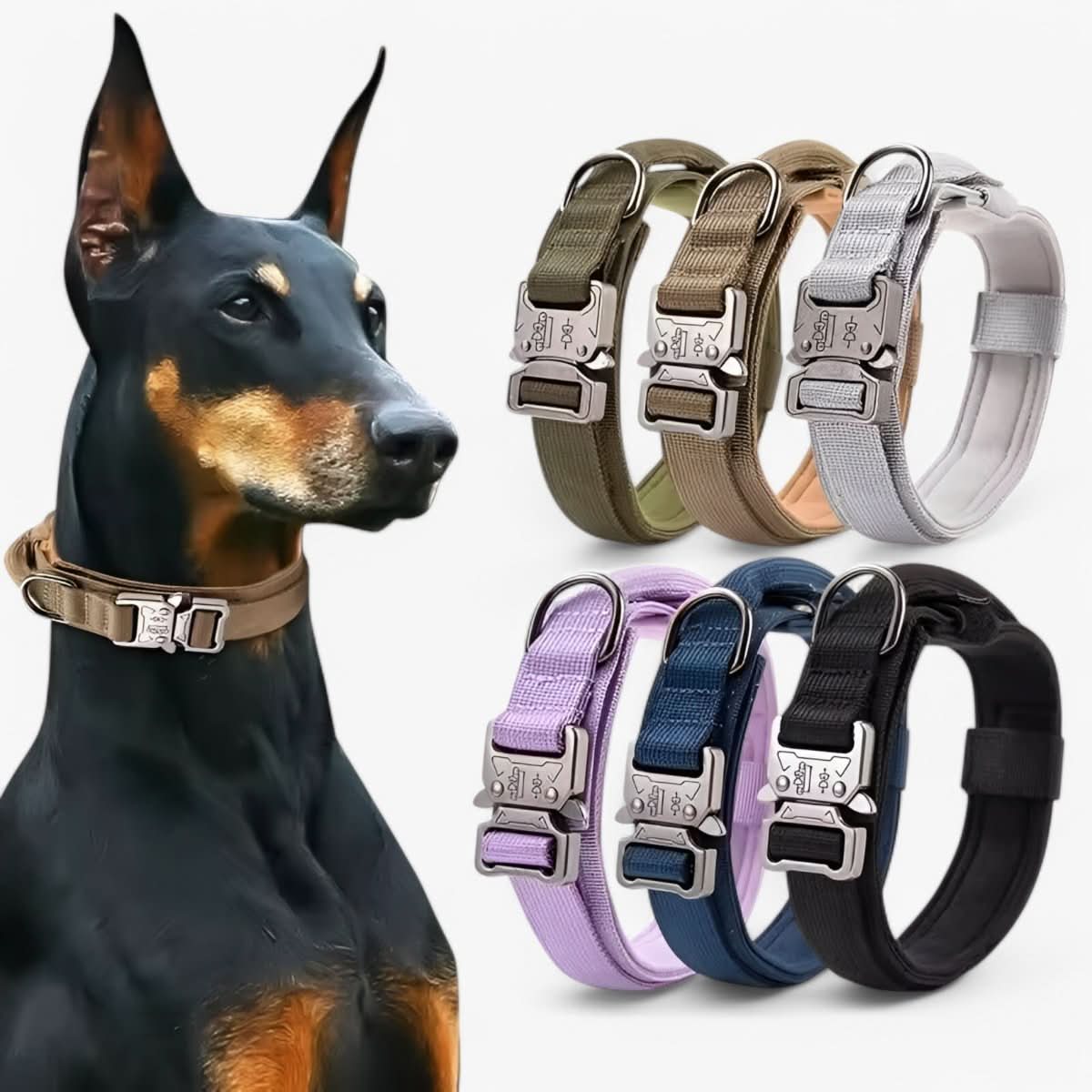 Tactical Nylon Dog Collar Set for Medium to Large Breeds