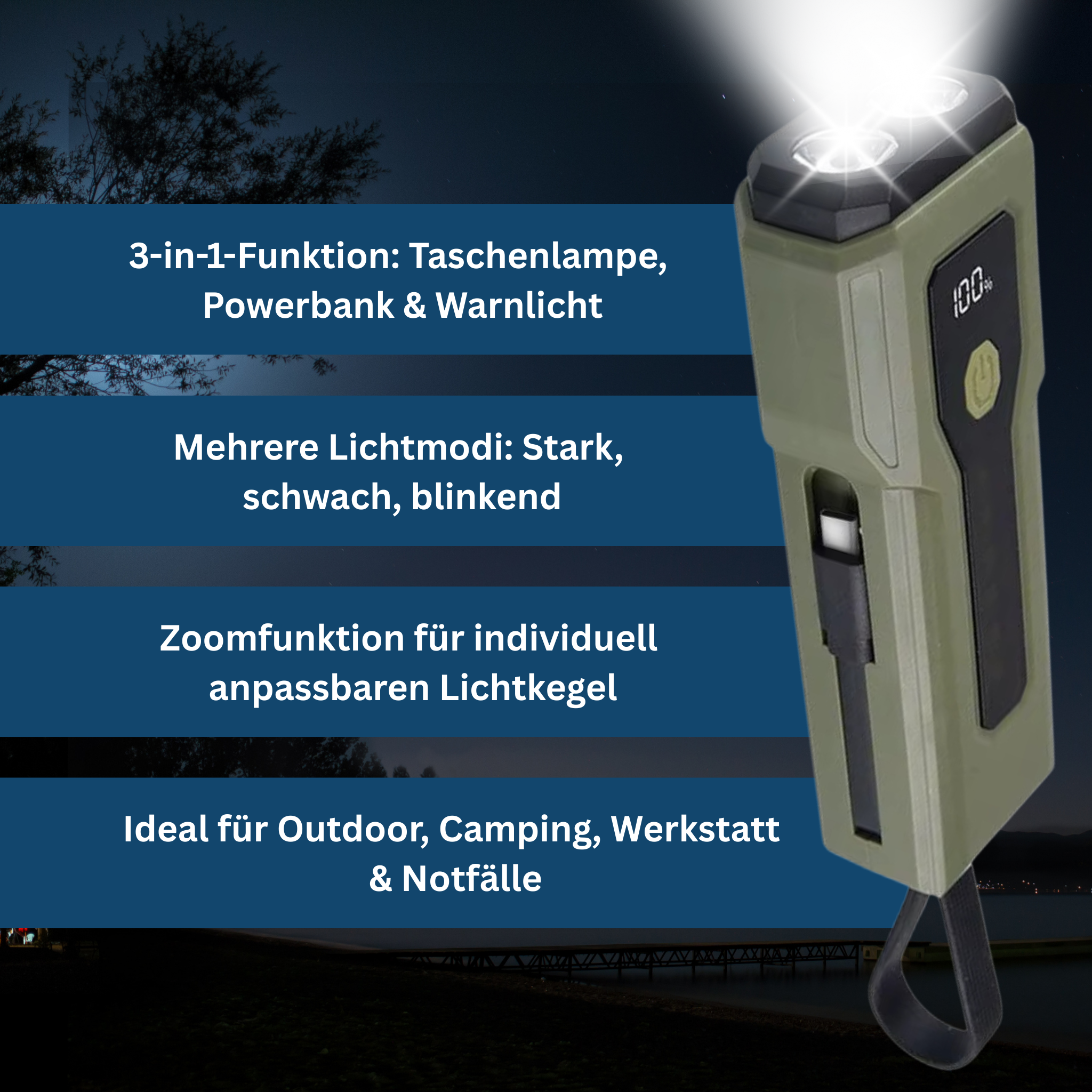 LED Desk Light with Power Bank Functionality