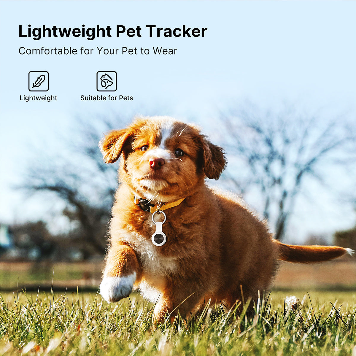 GPS Tracker for Pets – Smart Location Device