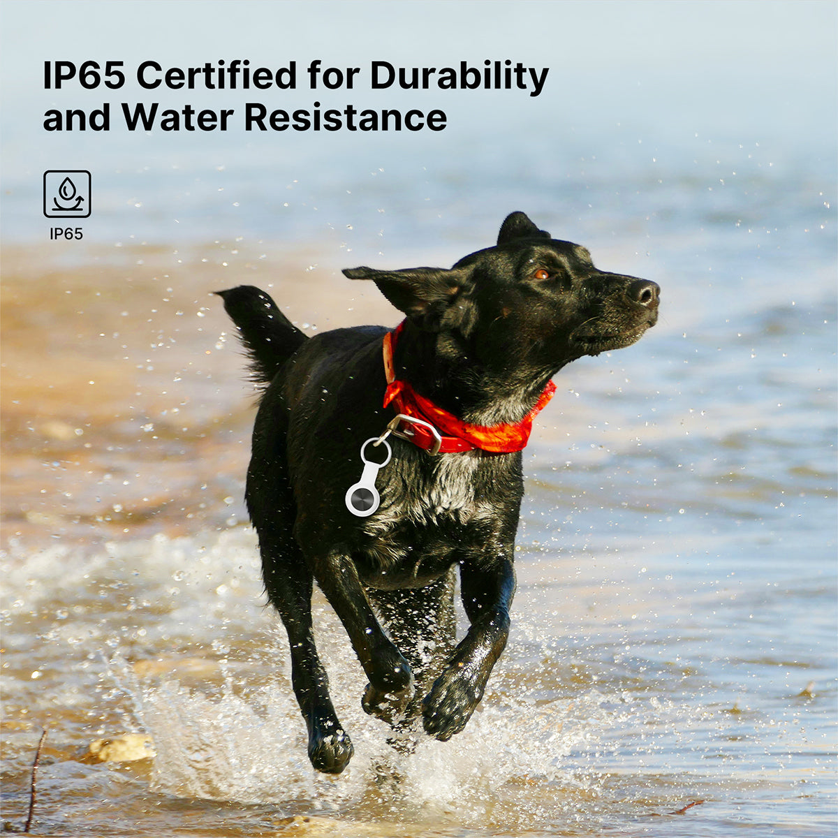 GPS Tracker for Pets – Smart Location Device