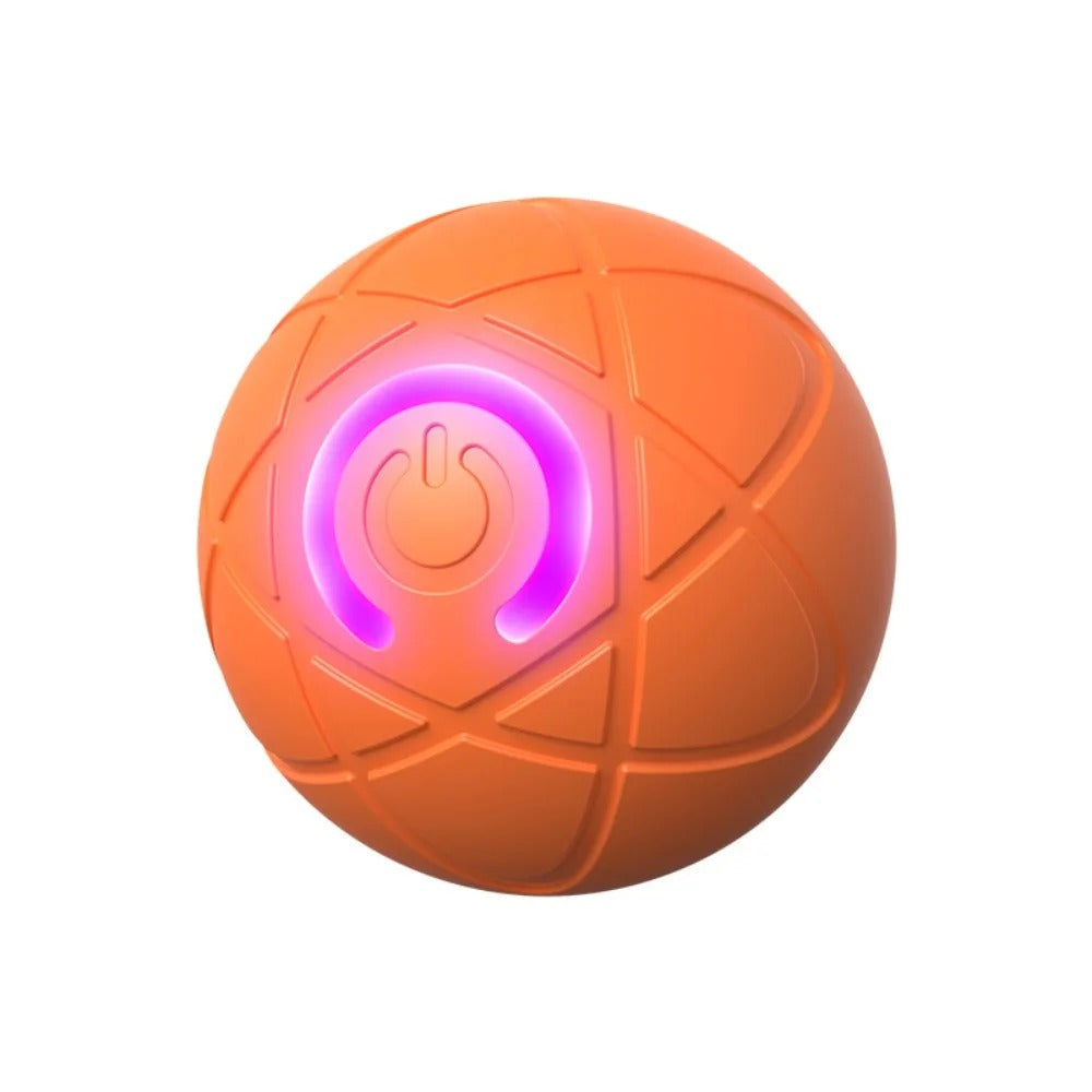 Endless Fun Pet Ball for Dogs and Cats