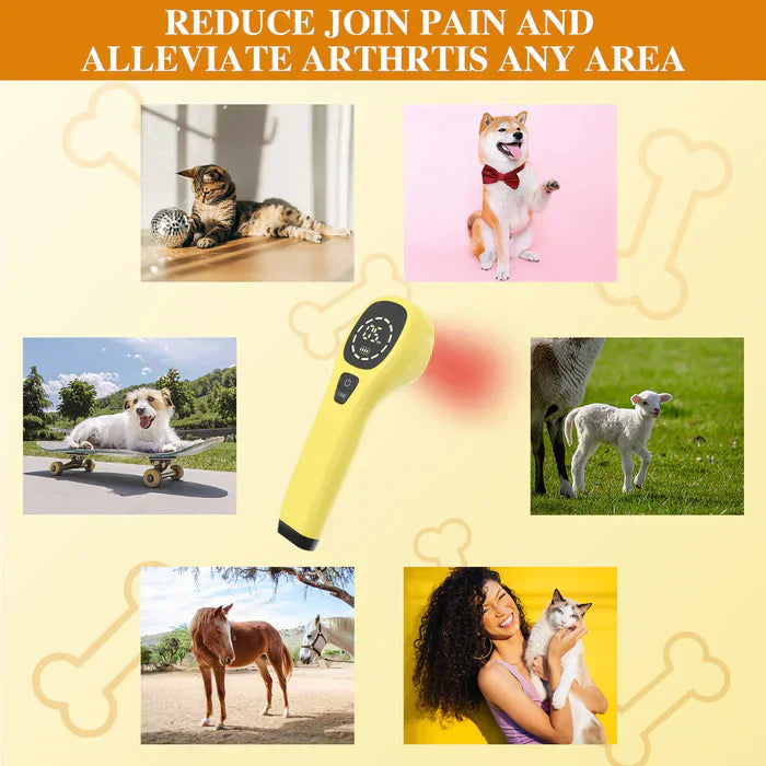 Portable Cold Laser Therapy Device for Pets - Home Use