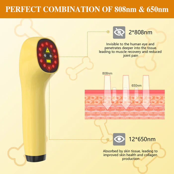 Portable Cold Laser Therapy Device for Pets - Home Use