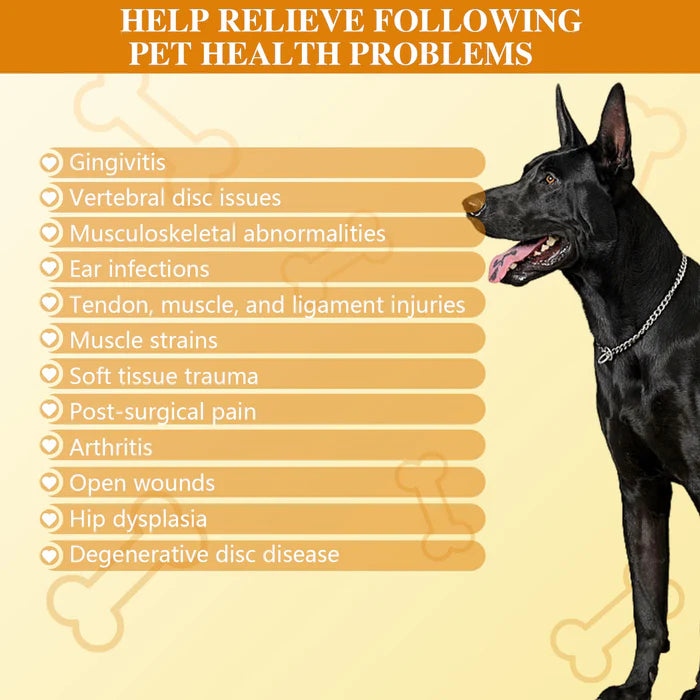 Portable Cold Laser Therapy Device for Pets - Home Use